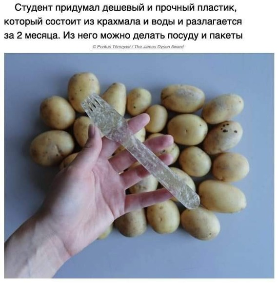 Бредзона