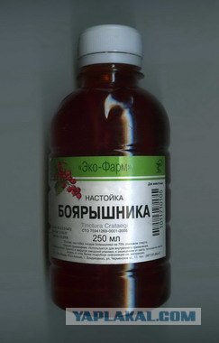 Пить или не пить?