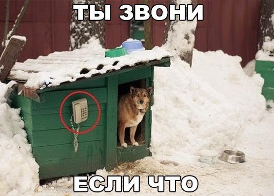 Алкопост и прочее, в картинках