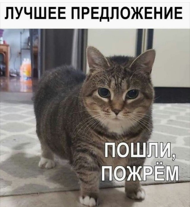 Забавные шутки, картинки и фразы из этих ваших интернетов