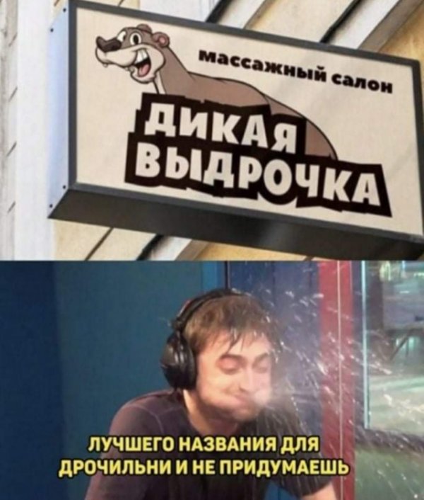 Прикольные и просто красивые картинки 11.02.2021
