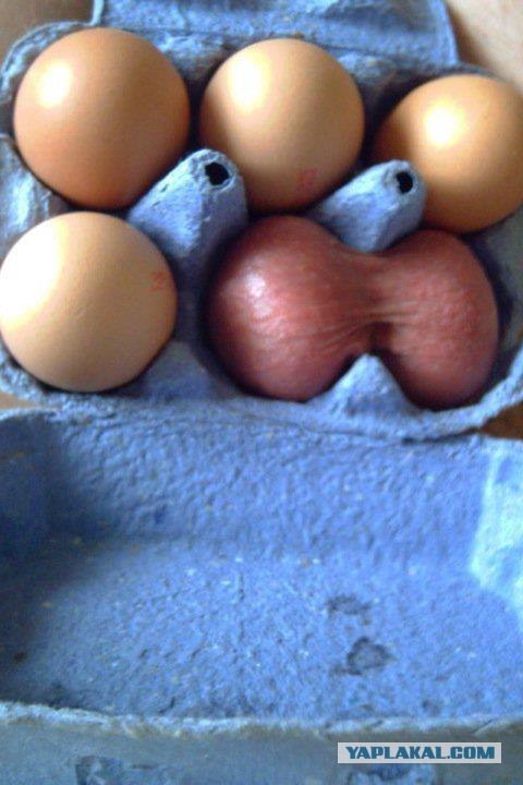 Как засунуть яйцо в бутылку