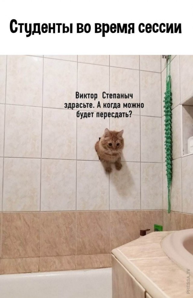 Картинки и мемы для настроения