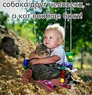 Всяческие картинки