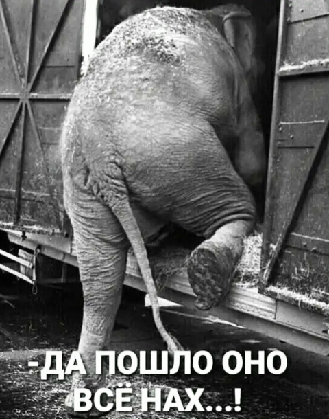 Картинки и мемы для настроения 09.09.2021