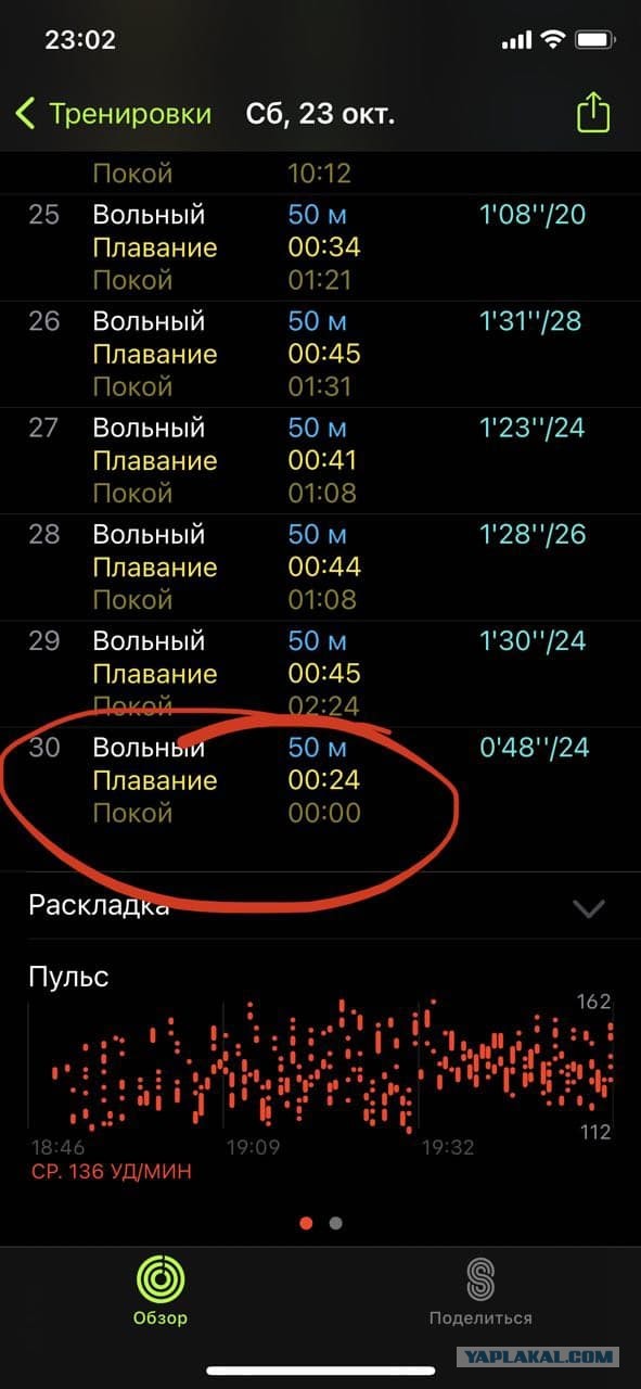 "А помнишь, как ты меня когда-то гонял? "(С)