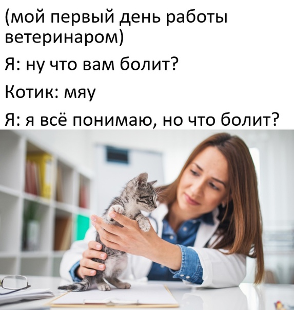 Весёлый полтишок 19.11.2021