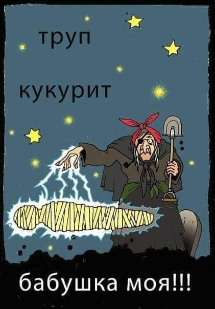 Всяческие картинки 24.12.2021