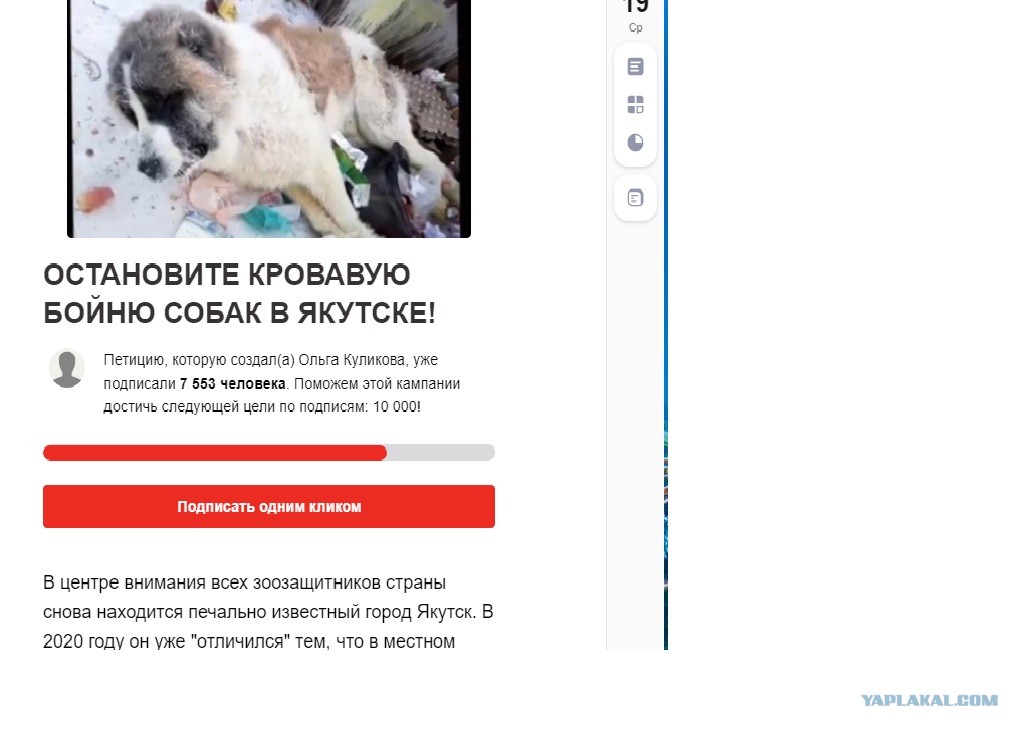 Катерина Кузина Зоошиза