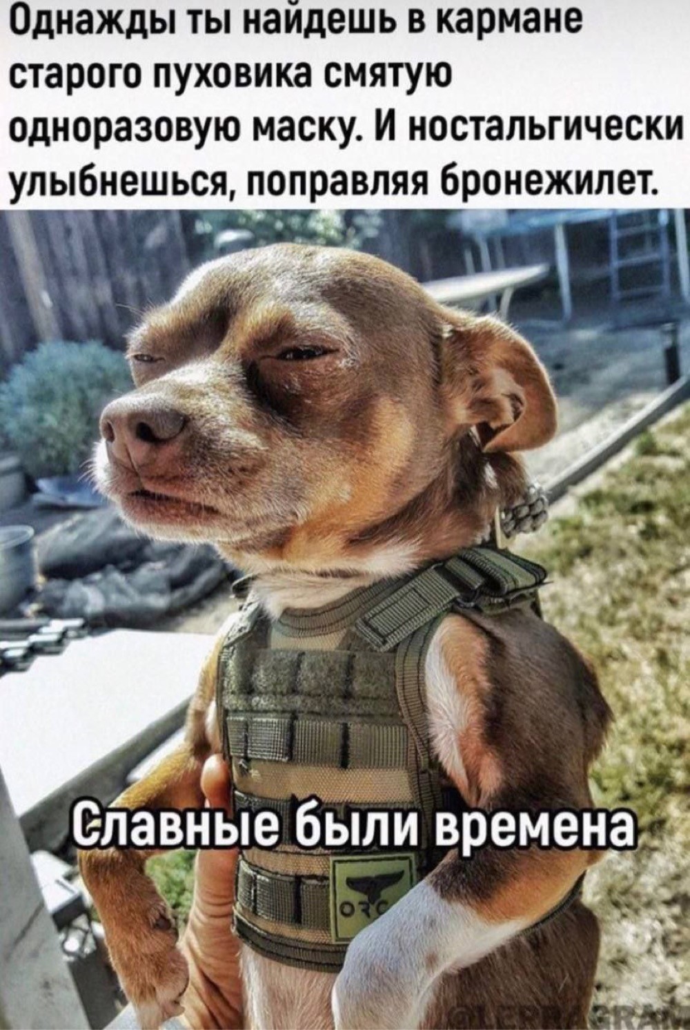 однажды перебирая одежду в шкафу