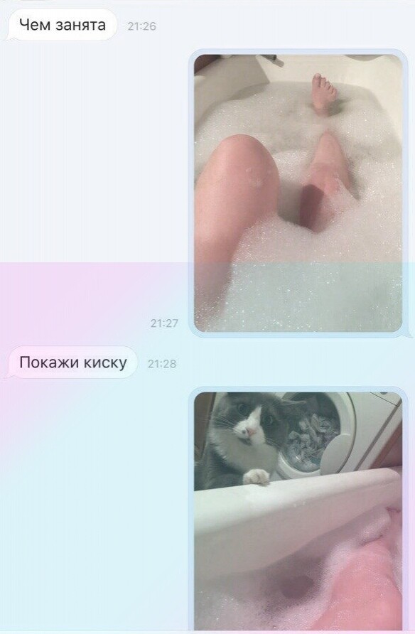16842808.jpg