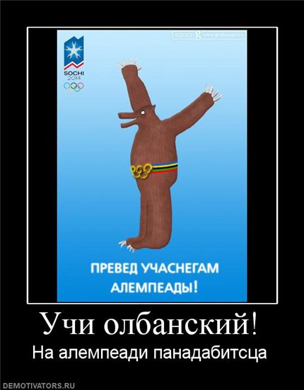 Университет Олбани