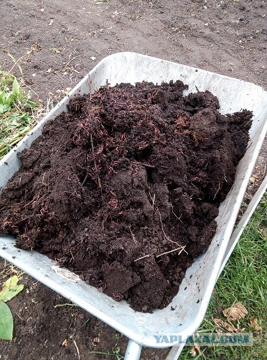 Выезд в тайгу
