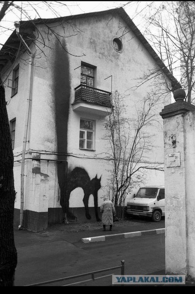 Котовторник 30.04.2013