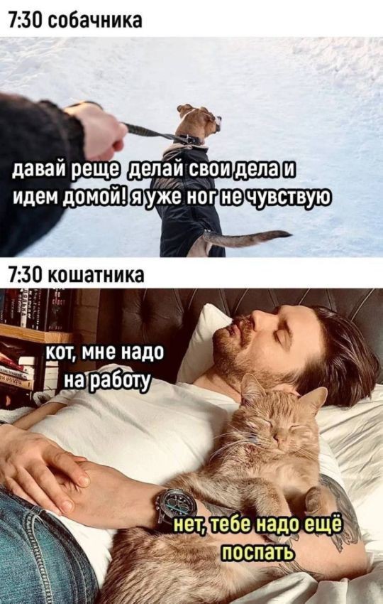 Всего понемногу. От 04.03.24
