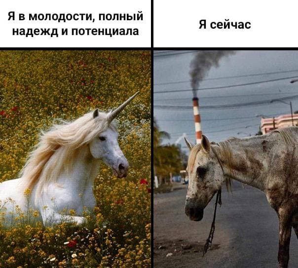 Никакие картинки