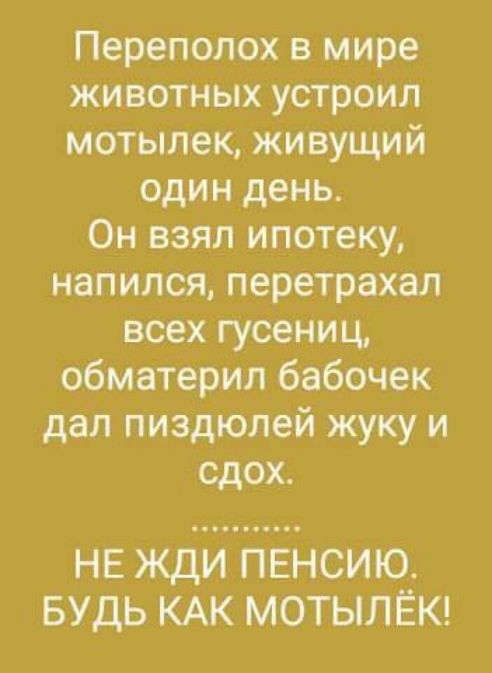 https://s00.yaplakal.com/pics/pics_original/8/0/8/19375808.jpg