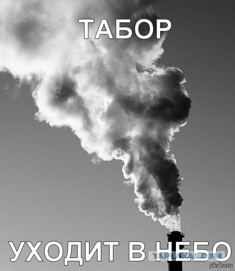 Под Волгоградом цыгнане, во время свадьбы, устроили конфликт с полицией. Теперь они задержаны и извиняются
