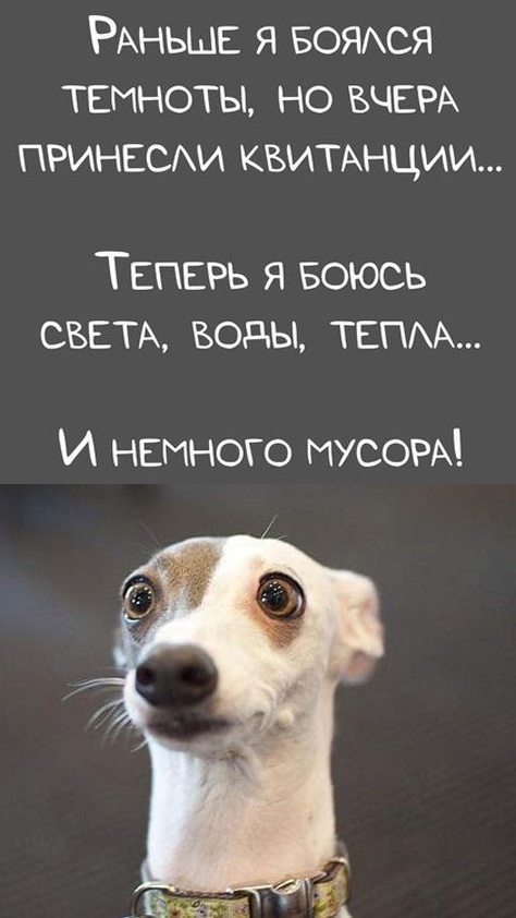 Так себе картинки 31.10.24