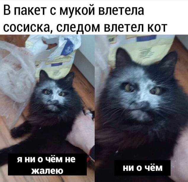 Так себе картинки 12.03.25