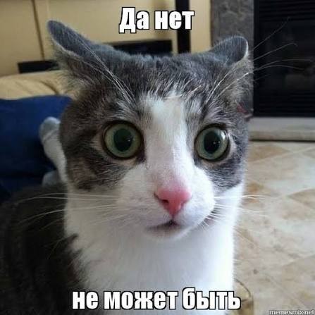 Унылый кусок бревна!