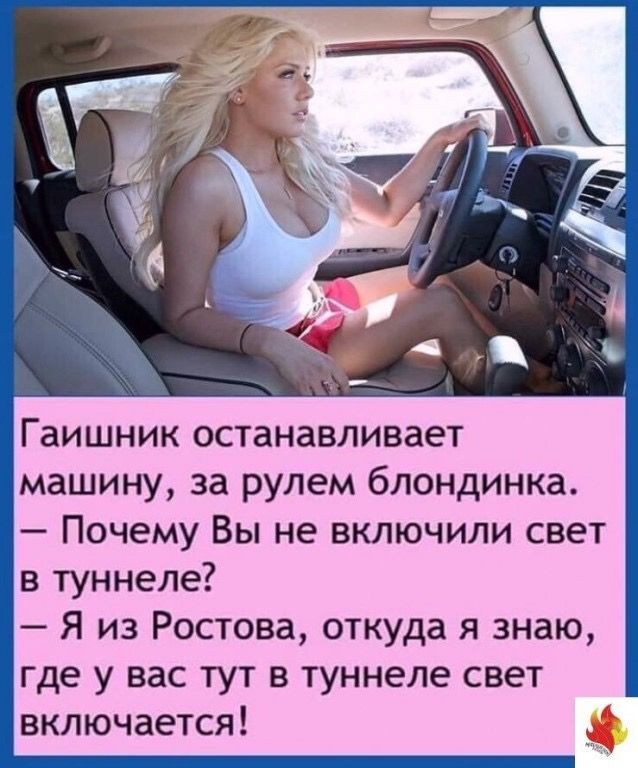 Веселые картинки в понедельник (24.08)