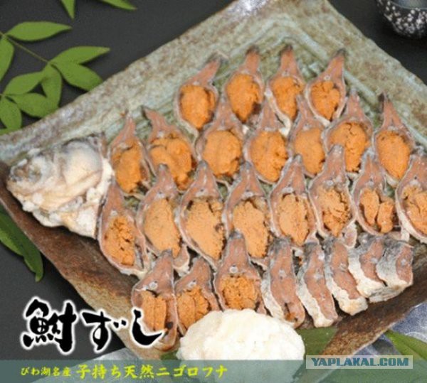 Ужасающие деликатесы из Японии