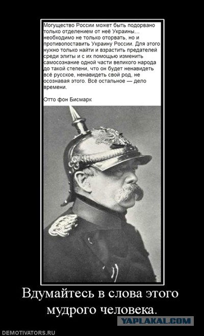 Петиция о вводе войска ООН, никому не напоминает