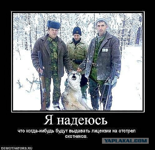 Не стреляй в меня