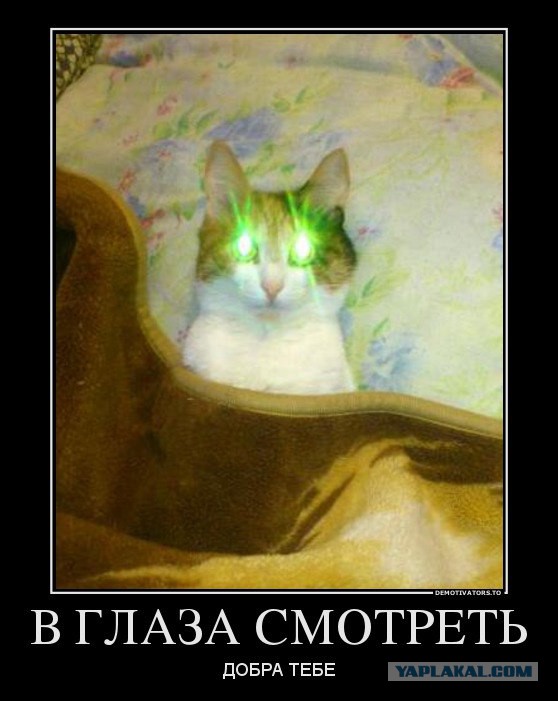 Чёрт, чёрт, чёрт!