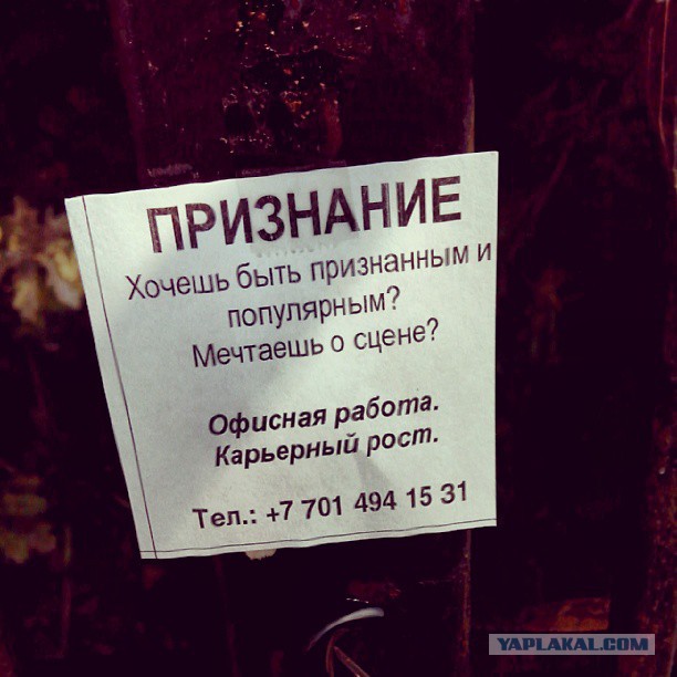 Жемчужина Казахстана! Almaty Tapok Edition