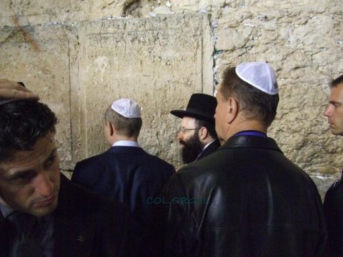 Свой среди своих