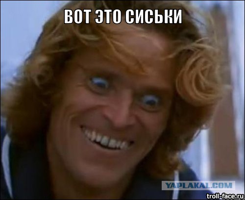 Плюшкиным посвящается