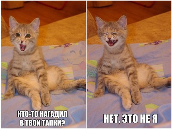 Подборка картинок