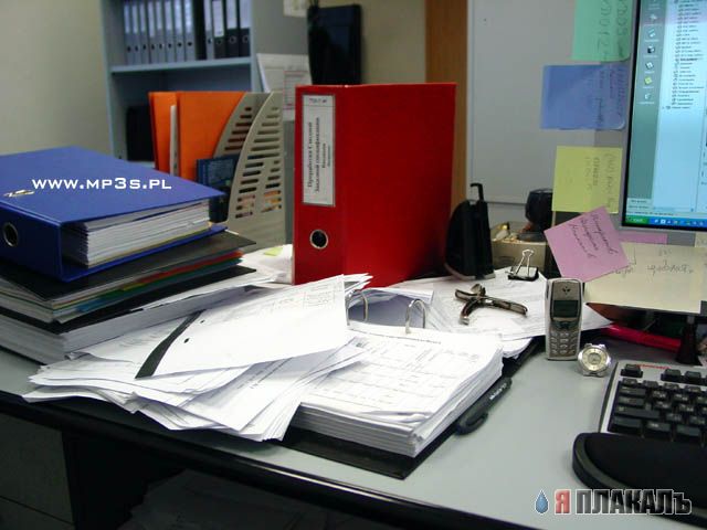 ПЯТНИЦА. Как все начинается!