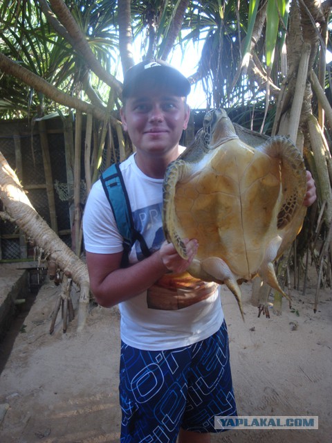 Самостоятельное путешествие в Шри-Ланку