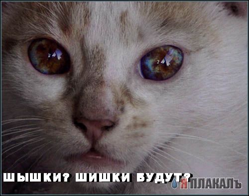 Уже да :) Ужо пятнецца...