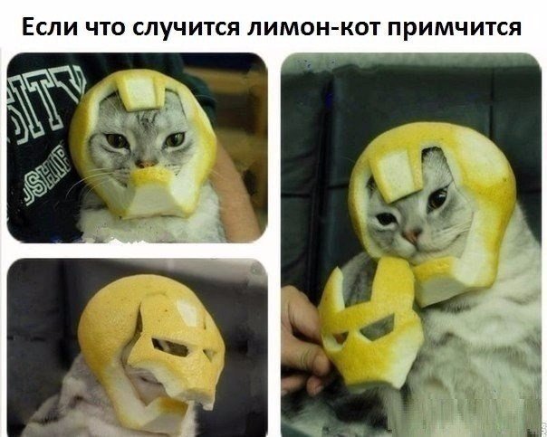 Мохнатые беспредельщики