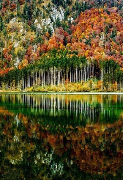 Картинки для отдыха глаз