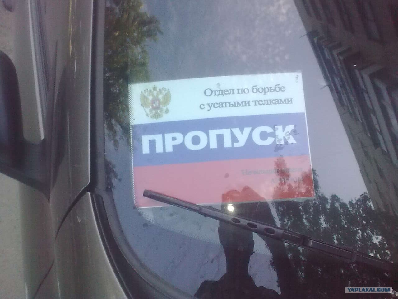 Отдел По Борьбе С Усатыми Телками