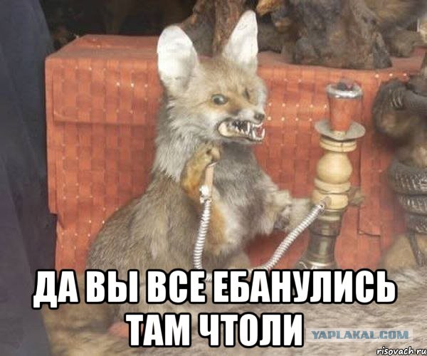 Сменившего пол трансгендера из Дагестана нашли зверски убитым через пару дней после скандальной свадьбы