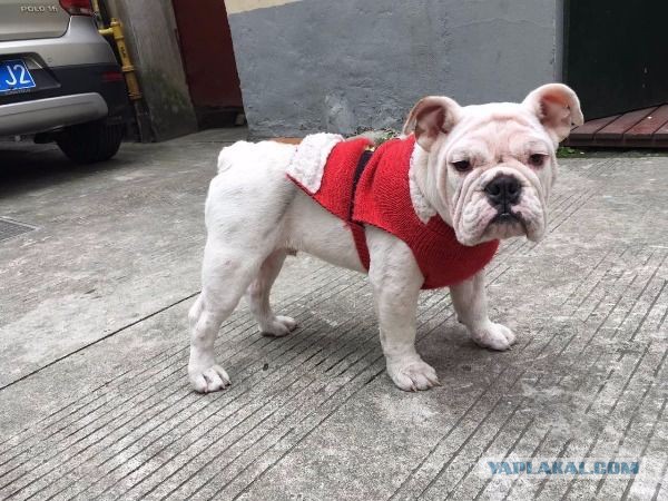 Фотки всякие разные...