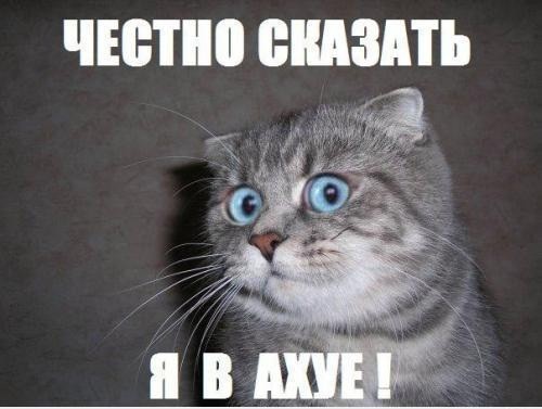 Перевал Дятлова. Конец истории