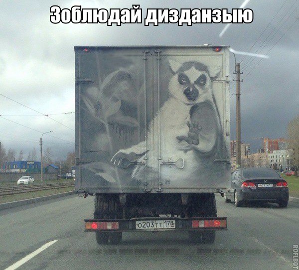 Подборка безудержного веселья