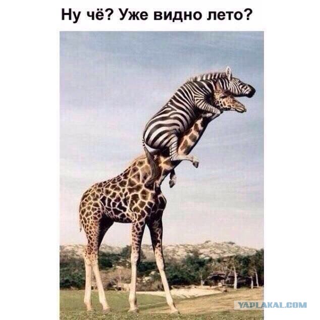 Нашествие 2017 просто одно фото