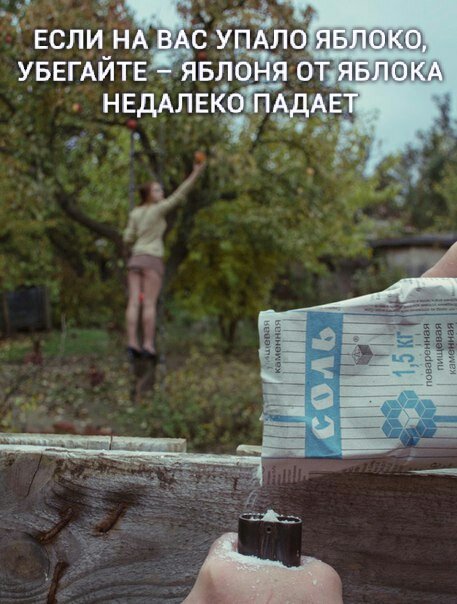 Немного фото для поднятия настроения