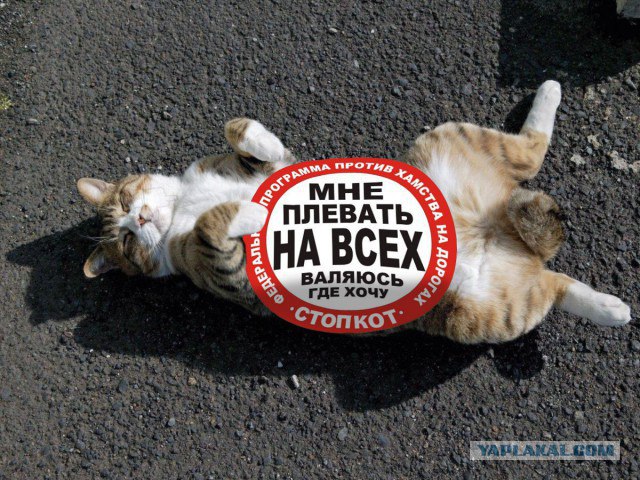 Ерундушки на четверг.