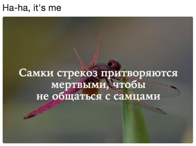 Подборка интересных и веселых картинок