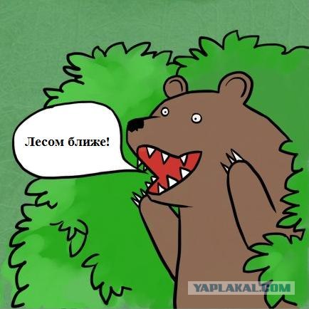 Дороговато будет!