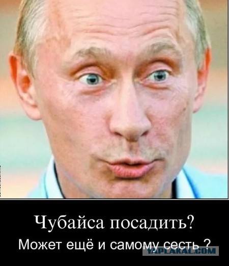 Вопрос президенту. Путин объяснил, почему не посадят Чубайса